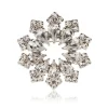 Crystal Decagon Brooch